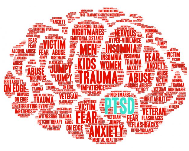 PTSD Brain Word Cloud Being Trauma Informed - A two lesson course on what happens to us and the effects on our brain and behavior.
